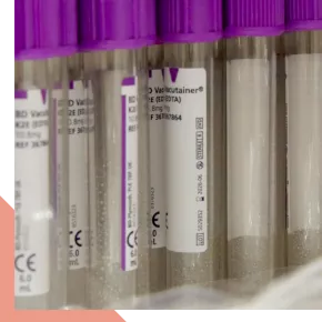 Laboratoires Spécialisés